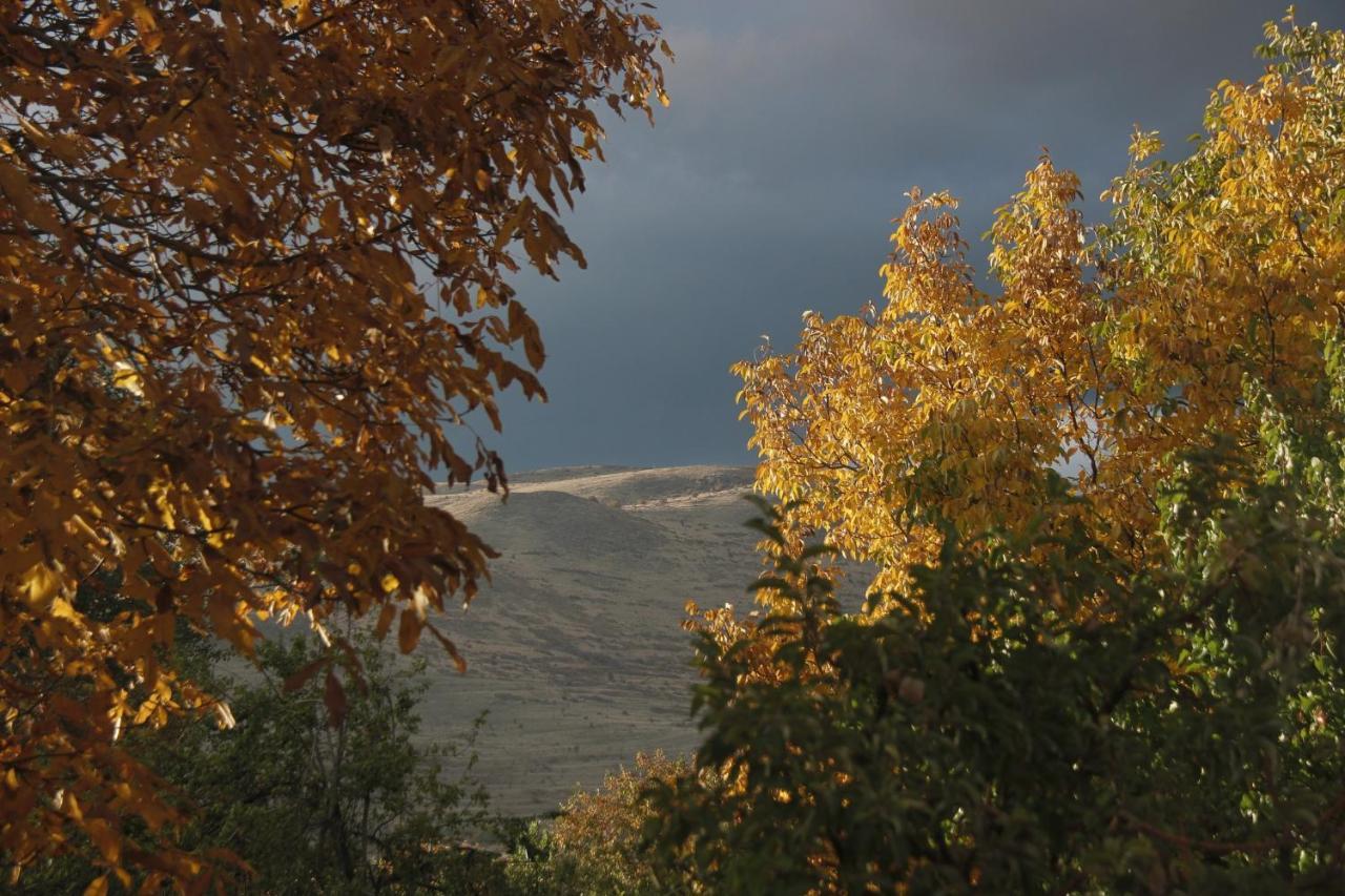 Zove Rural Cottage With Garden Views K'arashamb Exteriör bild