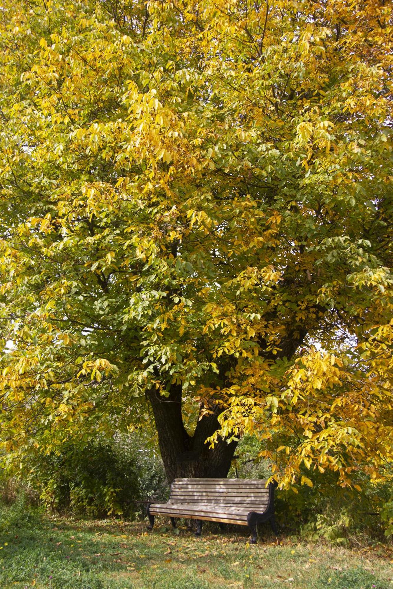 Zove Rural Cottage With Garden Views K'arashamb Exteriör bild